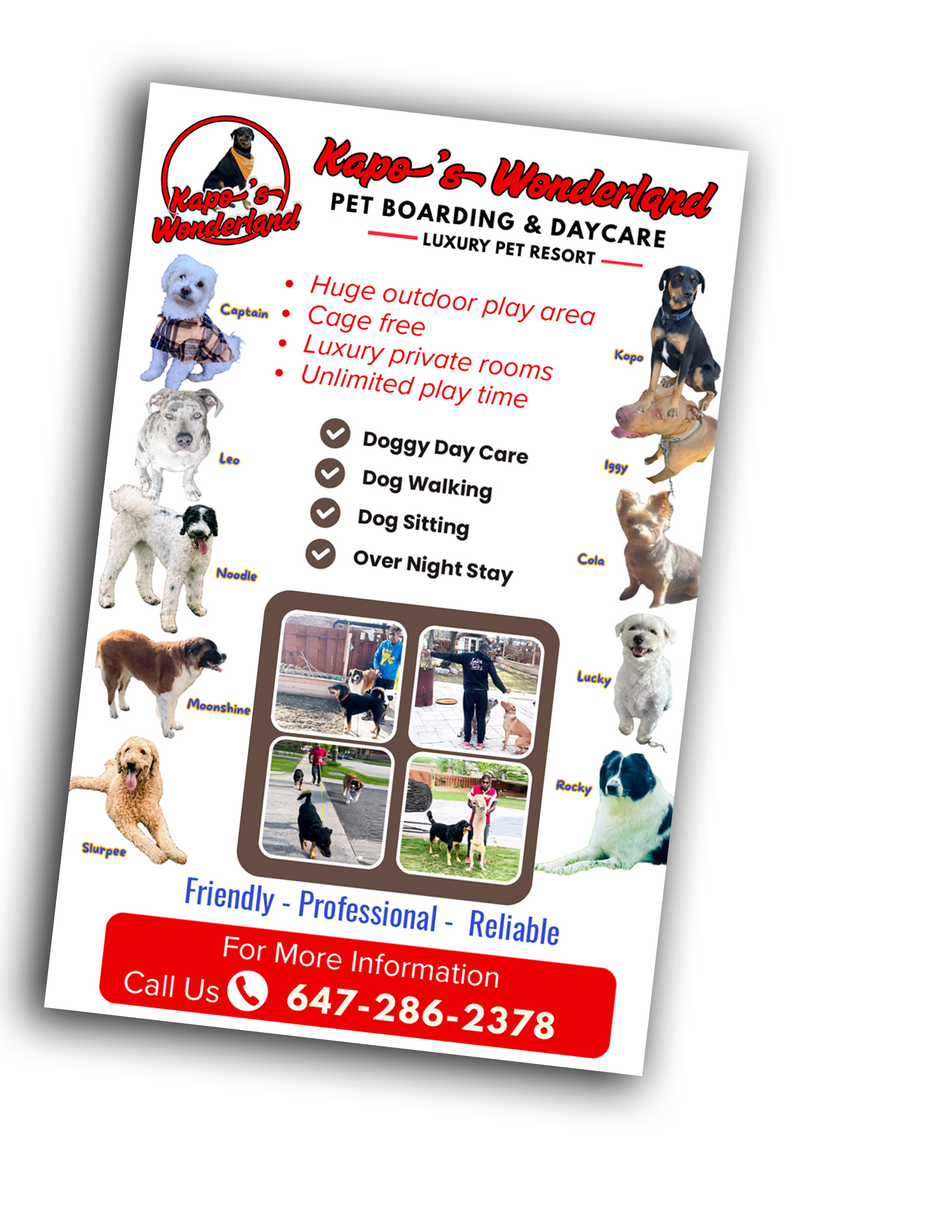 FLYERS-5.5"X8.5"-5000